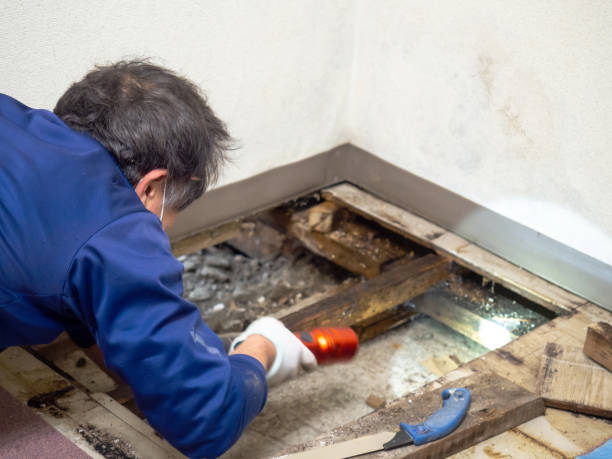 Best Mold Testing  in Barrett, TX