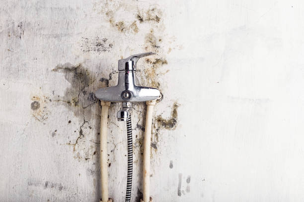 Best Residential Mold Removal  in Barrett, TX