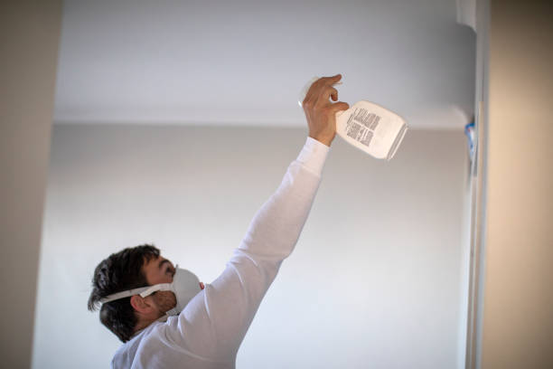 Office Mold Removal Services in Barrett, TX