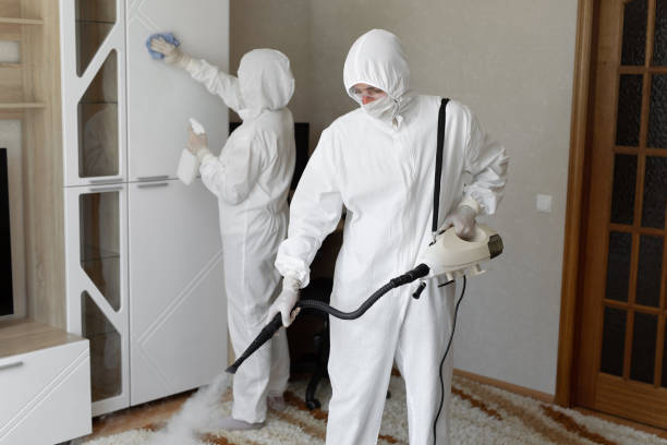 Attic Mold Removal in Barrett, TX