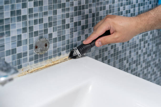 Certified Mold Removal in Barrett, TX