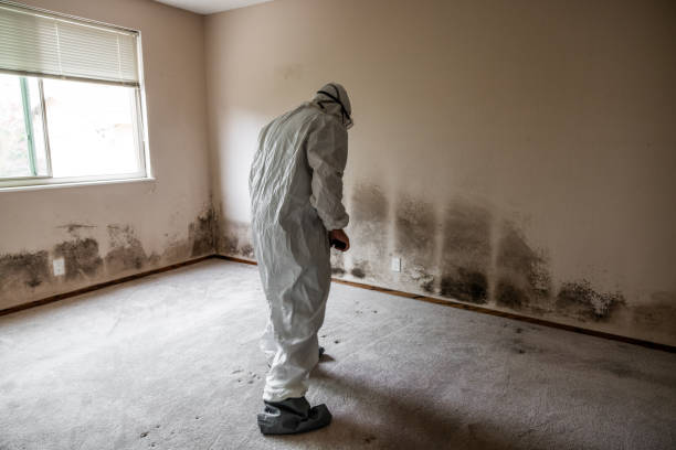Best Mold Removal Near Me  in Barrett, TX