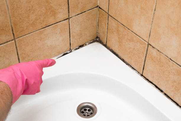 Best Home Mold Removal  in Barrett, TX